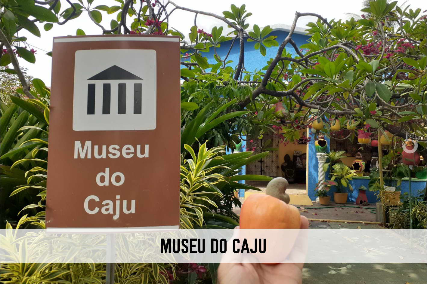 Diogo Turismo