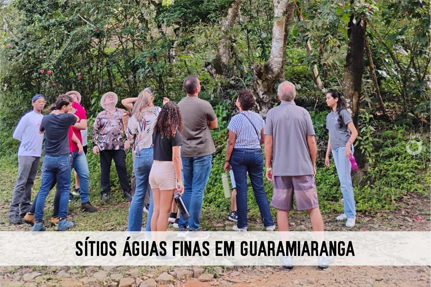 Diogo Turismo