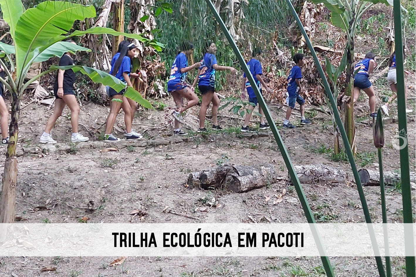 Diogo Turismo